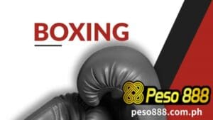 Ang pagtaya sa Boxing ay isang paboritong libangan para sa maraming tao sa buong mundo.