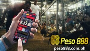 Ang Online sabong ay isang kilalang sport sa Philippines Peso888 Casino na kinabibilangan ng pagpaparami ng mga tandang at sabong. I