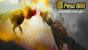 Ang Sabong ay isang napaka-tanyag na laro ng sabong sa Pilipinas, at ang Peso888 online casino sa Pilipinas