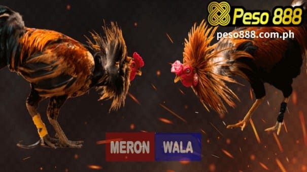 Peso888 Online Casino sabong