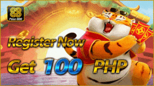 Nais nilang lumikha ng isang platform na hindi lamang nakakaaliw at nakakaengganyo ngunit ligtas din, secure, at legal. Kaya, ipinanganak ang Peso888.