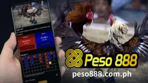 I-explore ang nangungunang mga online sabong app sa Pilipinas sa 2024. Manalo ng malalaking premyo.