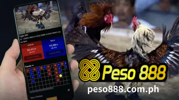 I-explore ang nangungunang mga online sabong app sa Pilipinas sa 2024. Manalo ng malalaking premyo.