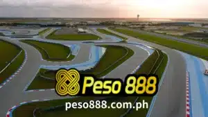Everyone has a favorite track or two, but some are more thrilling and thrilling than others. Therefore, we have compiled a list of the best race tracks in the world.